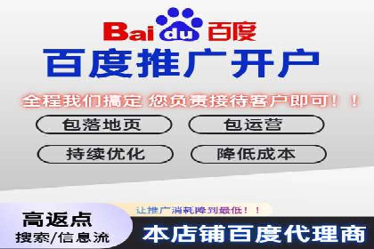 揭秘成功之道：竞价推广公司经典案例分享